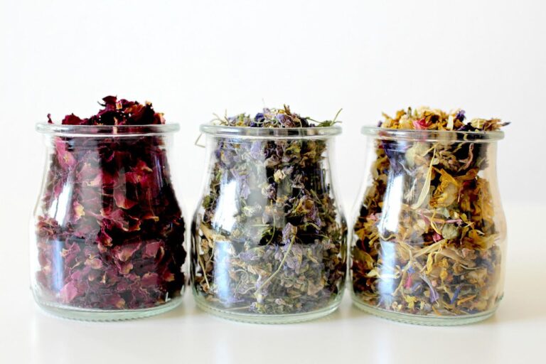 Five Summer Herbs that Heal