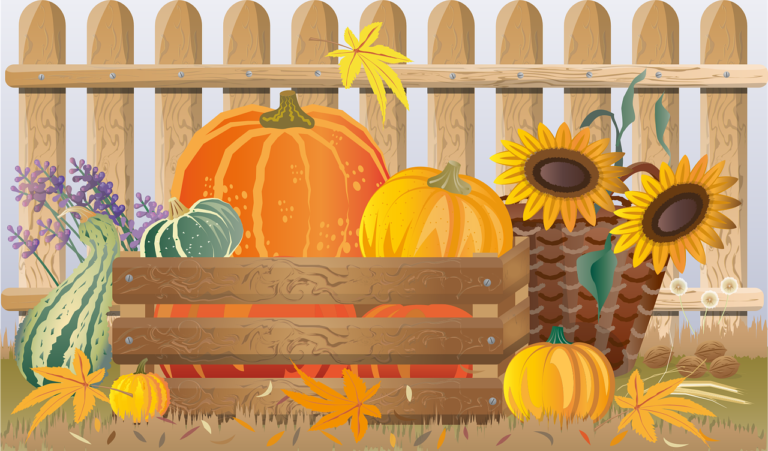 Fall Eating: Seasonal Foods to Add to Your Diet Apples, Pears, & Pumpkins...Oh My!!!