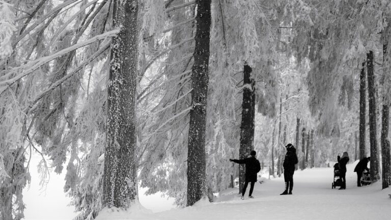 Staying Healthy During the Winter Months These Three Areas Help You Stay Health